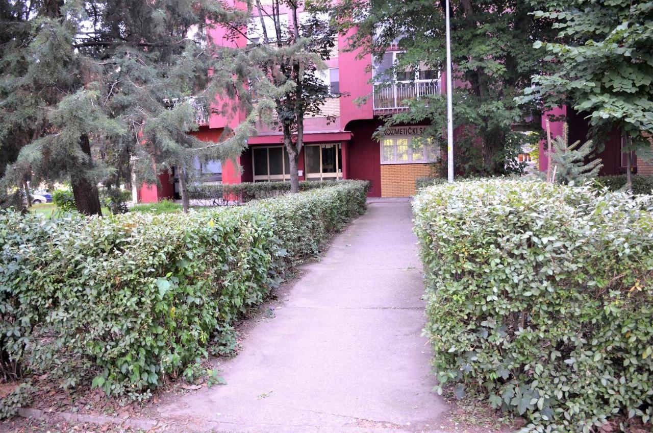 BALZAK 64m2, Free parking&Wi-fi Leilighet Novi Sad Eksteriør bilde
